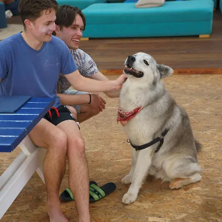 Auberge de jeunesse Wot Social