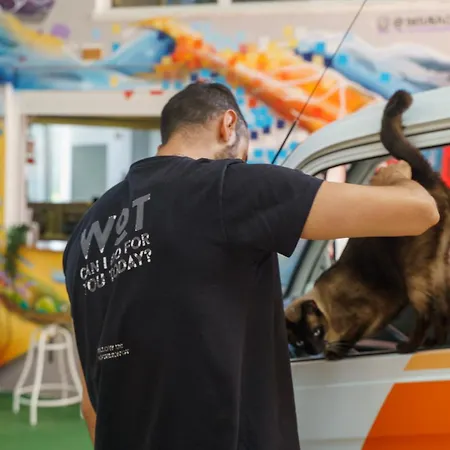 Wot Social Albergue Peniche