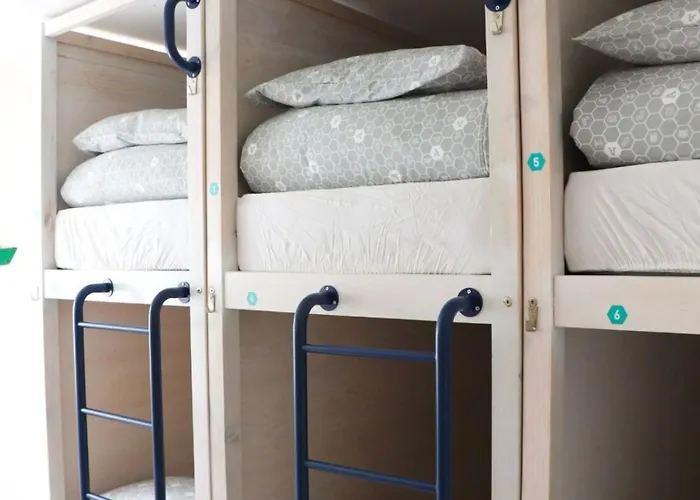 Auberge de jeunesse Wot Social