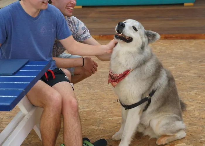 Auberge de jeunesse Wot Social