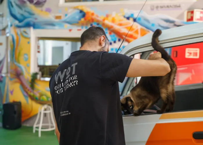 Wot Social Auberge de jeunesse Peniche